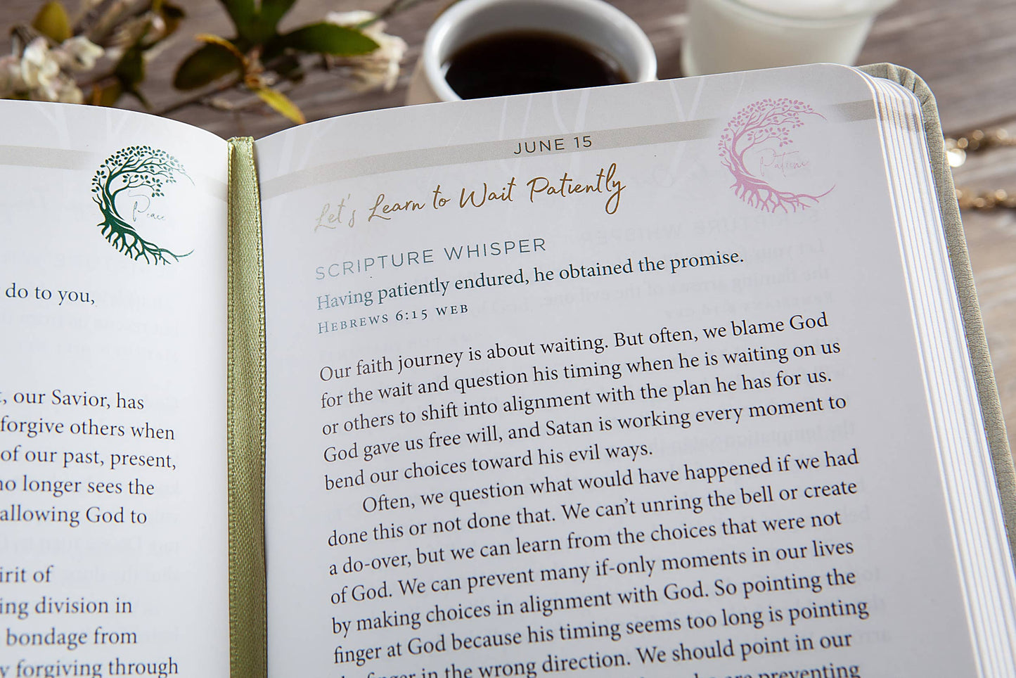 Pause and Pray (Devotional, Spring Reading)