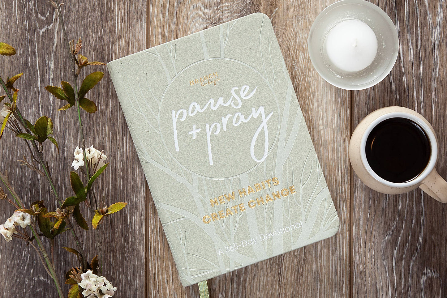 Pause and Pray (Devotional, Spring Reading)